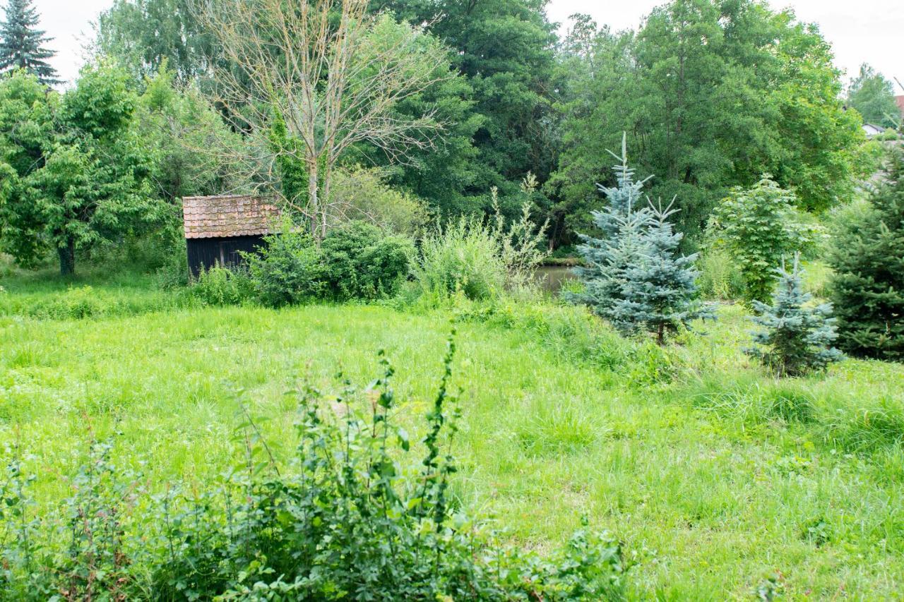 Ferienwohnung Auf Ehemaligen Bauernhof In Der Naehe Von Bamberg Walsdorf  外观 照片
